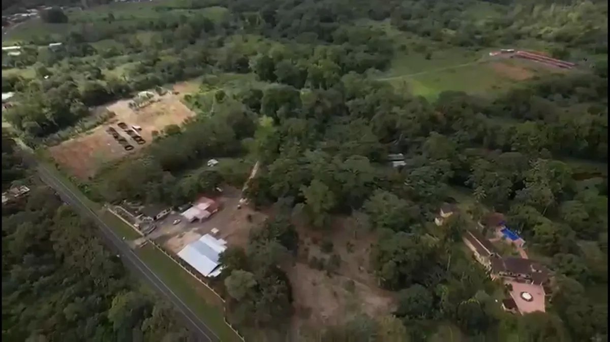 ¡Gran Oportunidad de Inversión! Vendo Finca de 50 Hectáreas en Buena Vista 