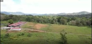 143156 - Buena vista - lots