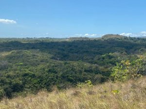 143174 - San carlos - lots