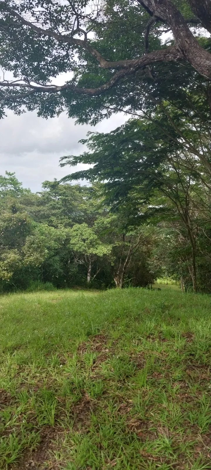 Terreno Ideal para Desarrollo en Altos de Tocumen con Vista Panorámica a la Ciudad