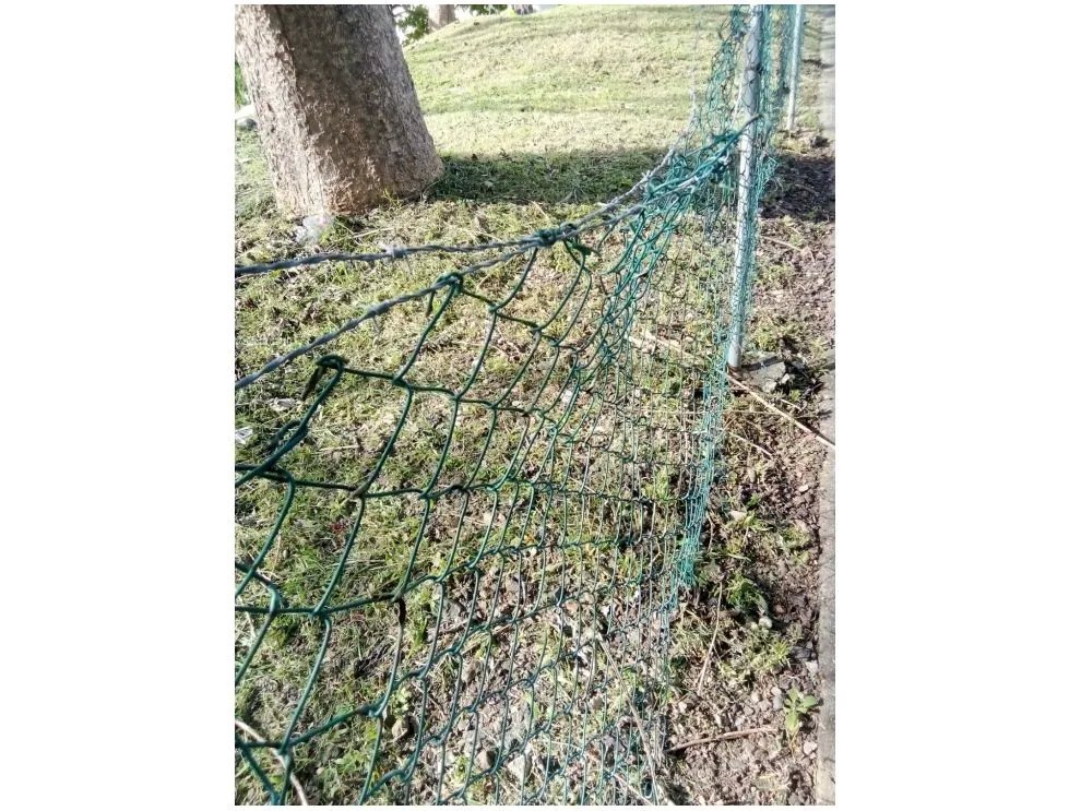 Lotes de Terreno en venta  Residencial El Bosque, San Miguelito