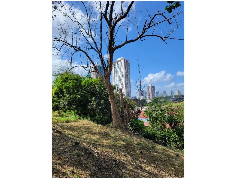 Lotes de Terreno en venta  Residencial El Bosque, San Miguelito