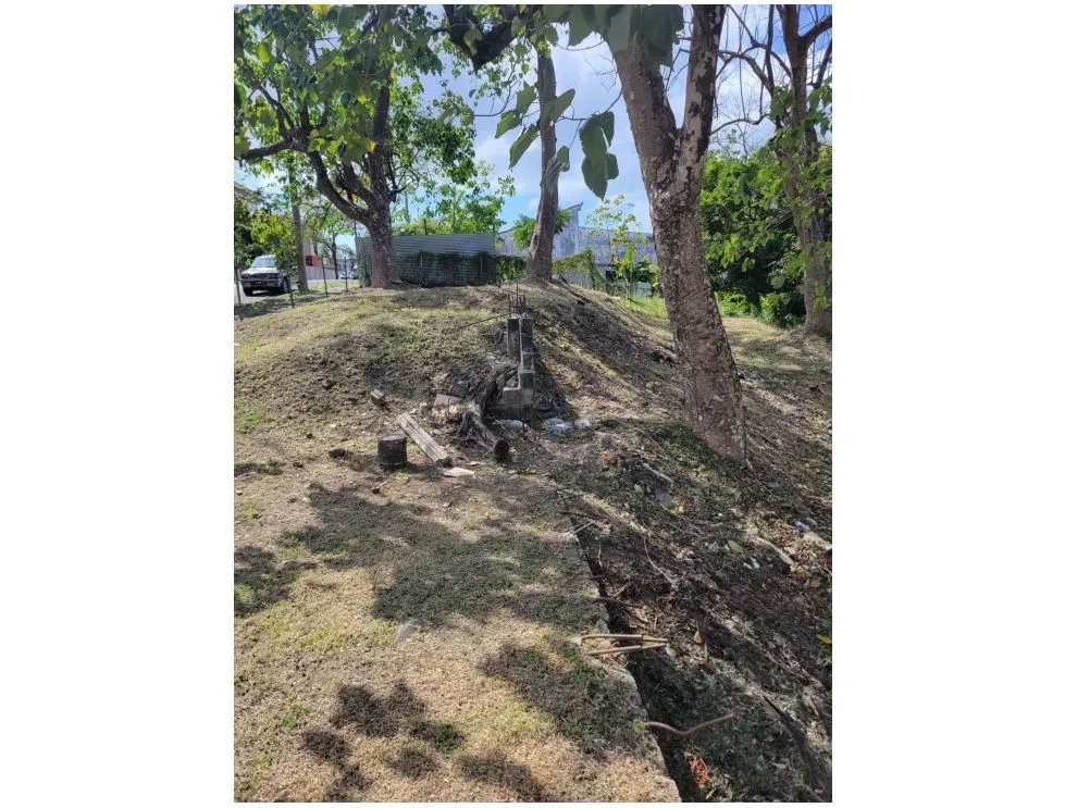 Lotes de Terreno en venta  Residencial El Bosque, San Miguelito