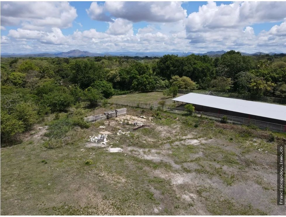 Alquiler de terreno y estructura en El Coco, Penonomé