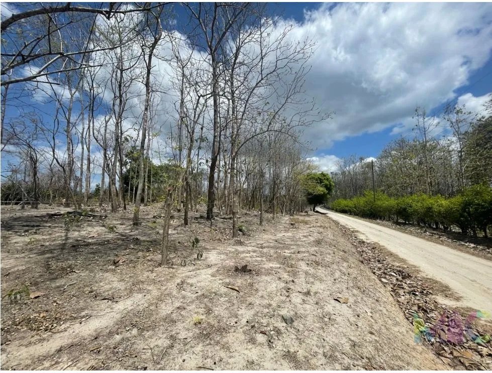 Se Vende Terreno en San Carlos Mata Palo