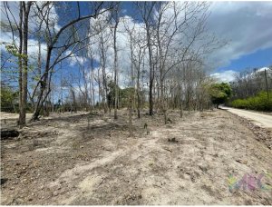 143365 - San carlos - lots