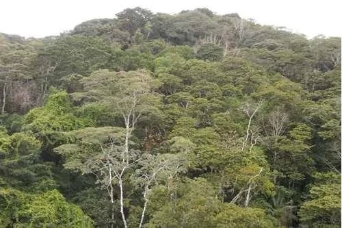 Terreno en venta en Altos del María