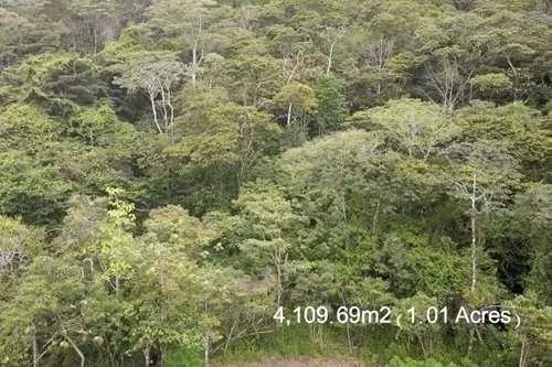 Terreno en venta en Altos del María