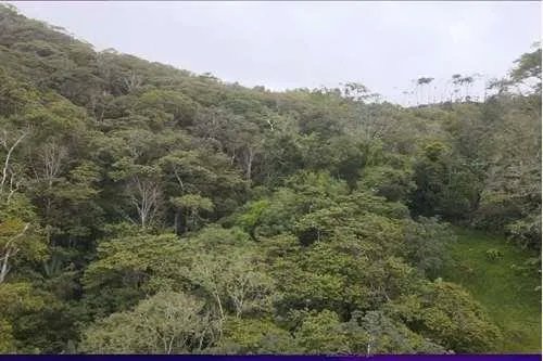 Terreno en venta en Altos del María