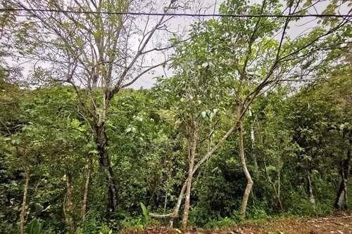 Terreno en venta en Altos del María