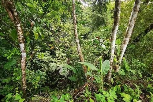 Terreno en venta en Altos del María