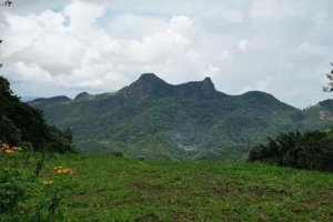 143430 - Altos del maria - lots