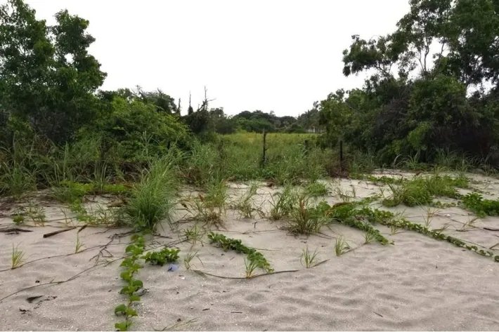 Terreno a la Venta en Punta Chame