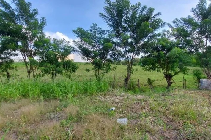 Se vende terreno comercial en Pacora
