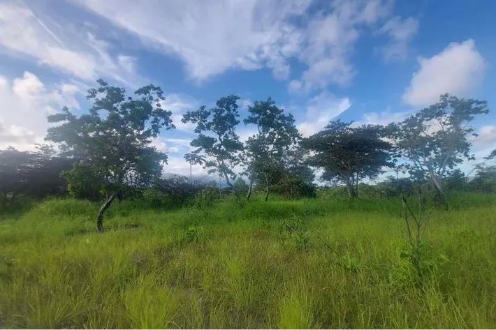 Se vende finca en Punta Barco, San Carlos