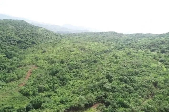 Se Vende terreno en Natá - La Yeguada, Coclé