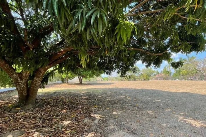 Lands for sale at Club de Golf, Coronado, Chame