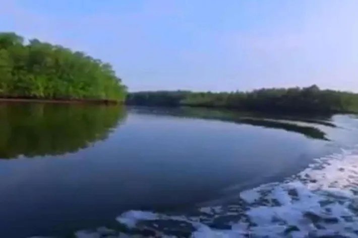 Venta de Isla en Chiriqui