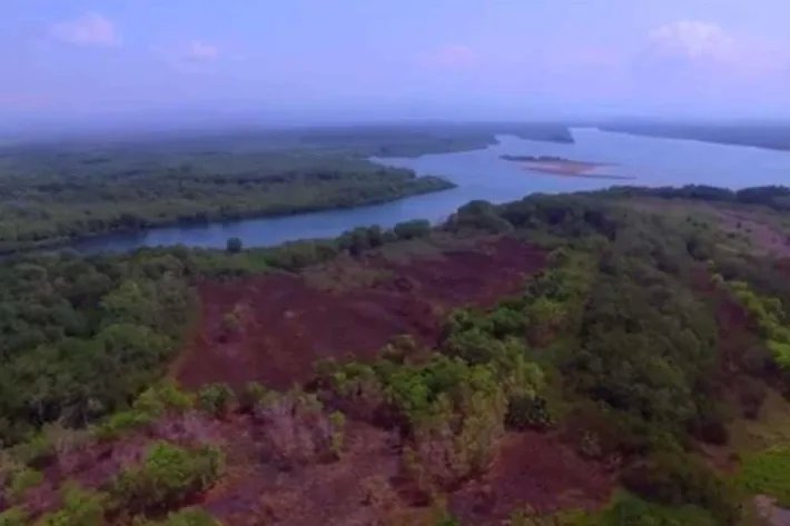 Venta de Isla en Chiriqui