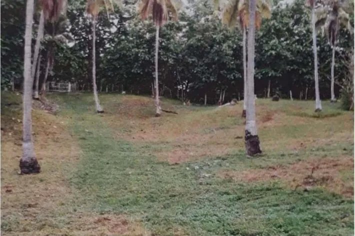 Venta de Finca en El Higo de San Carlos