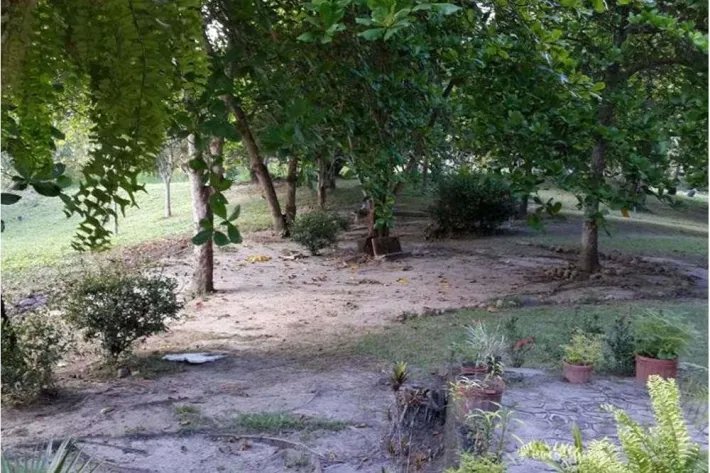 Venta de Finca en El Higo de San Carlos
