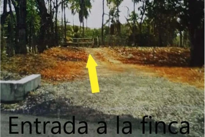Venta de Finca en El Higo de San Carlos