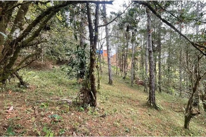 Se vende terreno con cabaña en Altos de Cerro Azul, Chilibre