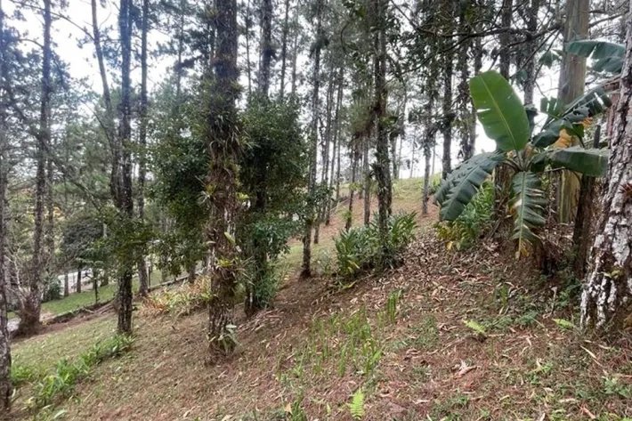 Se vende terreno con cabaña en Altos de Cerro Azul, Chilibre