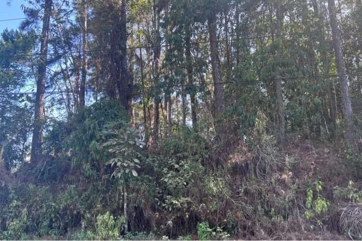 Se vende terreno en Cerro Azul (Las Nubes)
