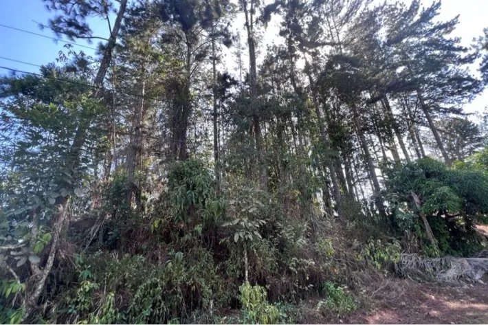 Se vende terreno en Cerro Azul (Las Nubes)