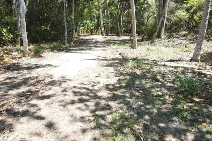 Se vende terreno en San Carlos, Las Uvas