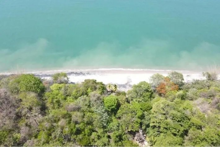 Se vende terreno en San Carlos, Las Uvas