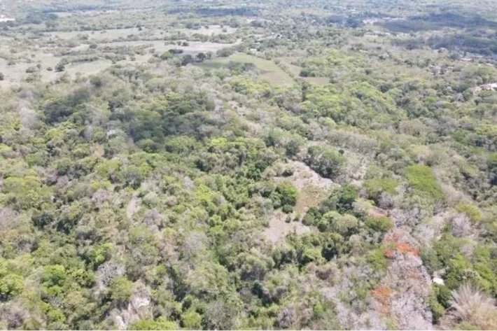 Se vende terreno en San Carlos, Las Uvas