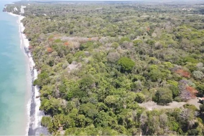 Se vende terreno en San Carlos, Las Uvas