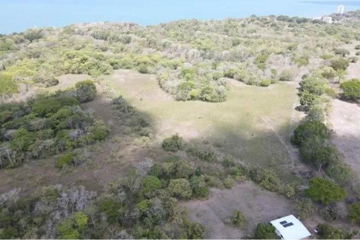 Se vende terreno en San Carlos, Las Uvas