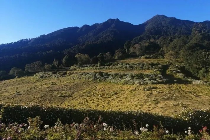 Venta de terreno en Boquete, Chiriquí