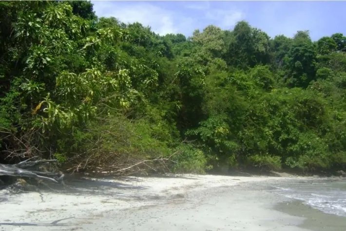 Se Vende Isla en Chiriquí