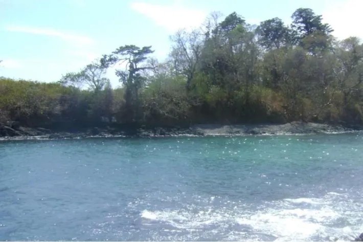 Se Vende Isla en Chiriquí