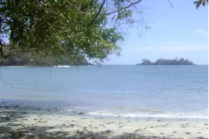 Se Vende Isla en Chiriquí