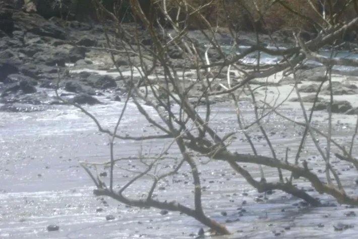 Se Vende Isla en Chiriquí