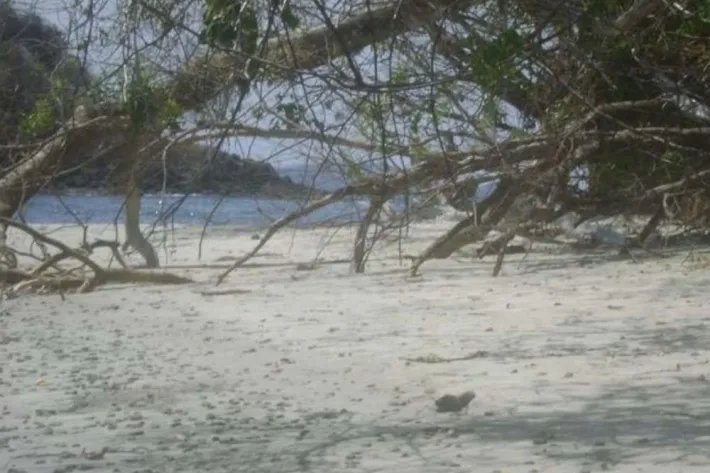 Se Vende Isla en Chiriquí