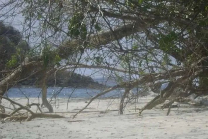 Se Vende Isla en Chiriquí