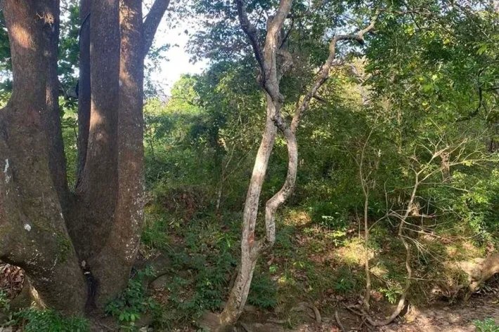 Se vende finca en Rodeo Viejo, San Carlos