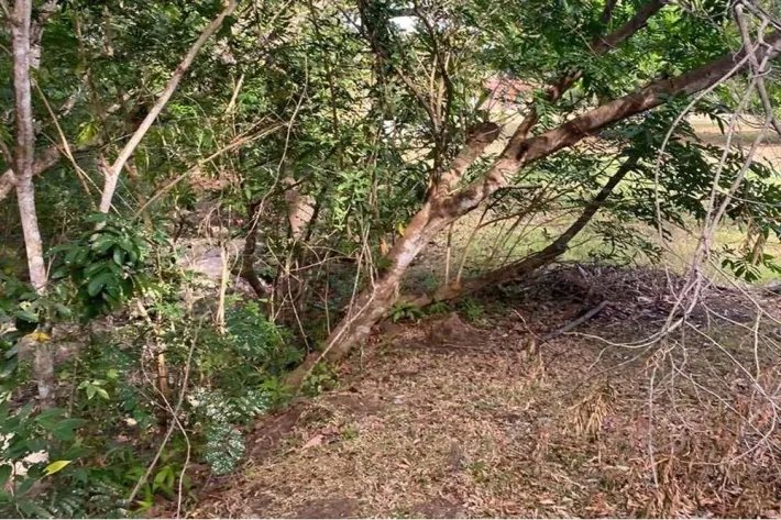 Se vende finca en Rodeo Viejo, San Carlos