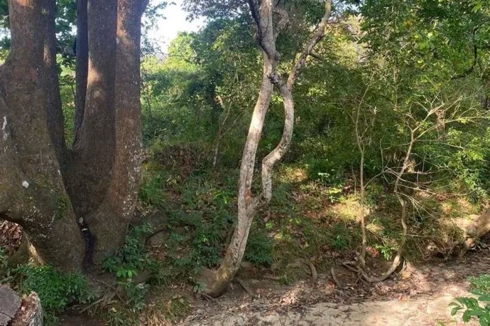 Se vende finca en Rodeo Viejo, San Carlos