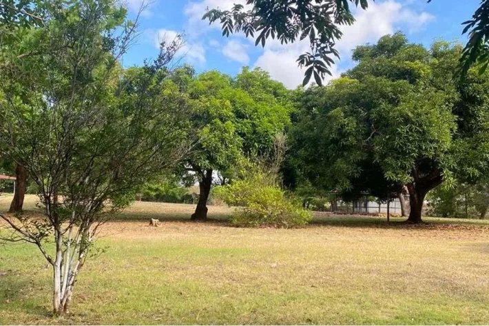Se vende finca en Rodeo Viejo, San Carlos