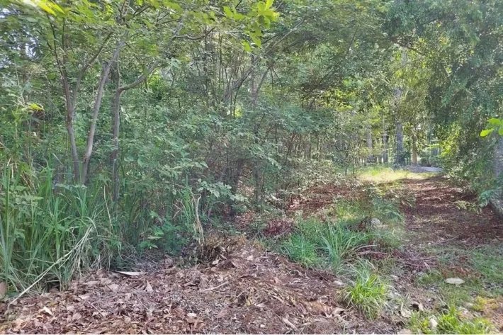 Se vende terreno en Coronado, Chame