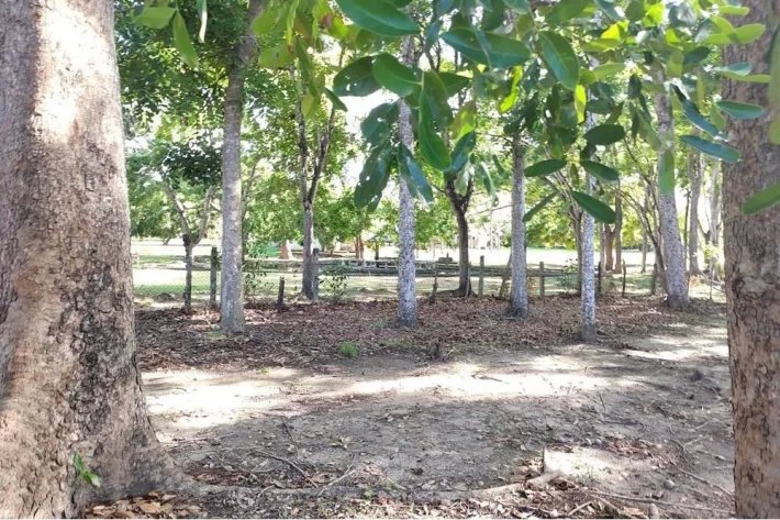 Se vende terreno en Coronado, Chame