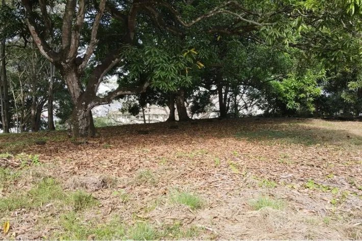 Se vende terreno en Albrook, Ancón