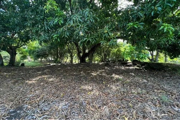Se vende terreno en Albrook, Ancón